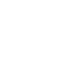 Triangle AI Lab